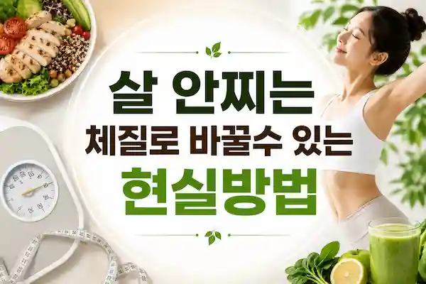 살안찌는